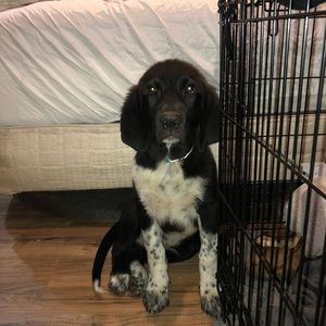 Meet your Posher, Jonathan